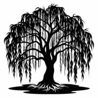 Weeping Willow Tree Silhouette Design vector