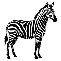 Zebra Silhouette Illustration Isolated Background vector