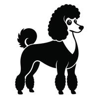 Poodle Silhouette Graphic Simple Design vector