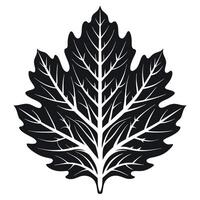 Simple Black And White Leaf Design vector