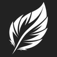 Feather Illustration On Black Background vector