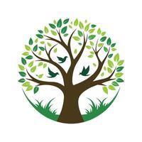 Tree With Leaves And Birds Illustration vector