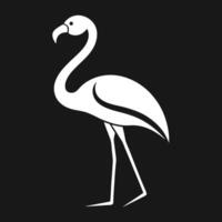 White Flamingo On A Black Background vector