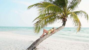 Woman relaxing lay under palm tree on summer asia beach vacation concept, Happy woman with hat relaxing at the seaside and looking away, in the summer against a backdrop of palm trees and sea video