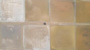 06 Top view of salt farming near a mangrove forest. Taken from a drone. video