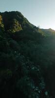 aerial dive between the hills of Samo in Calabria video