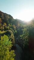 FPV aerial shot on a stream in the mountains of Calabria video