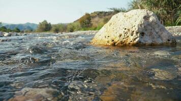 Transparent And Fresh Water Flow Near A Stone video