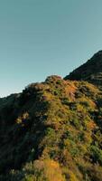 mountain tops full of green trees at sunset video