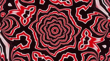 Red and black flower with black background. Kaleidoscope VJ loop video