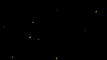 A black background with green lights video