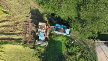Top view, Aerial view shot a combine harvester loading grains into a truck amidst a vibrant green field, showcasing modern agriculture. video