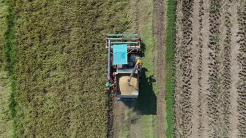 Top view, Aerial view combine harvester working in a vibrant green field, showcasing agricultural machinery and farming efficiency. video