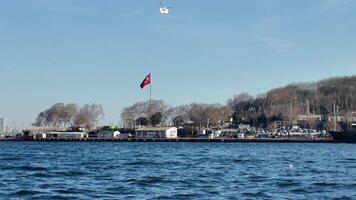 turkey istanbul 19 march 2025. Waterfront view of a harbor with seagulls and a flag in the background video
