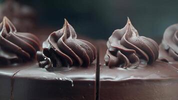 Delicious chocolate cake with creamy frosting at a bakery display video
