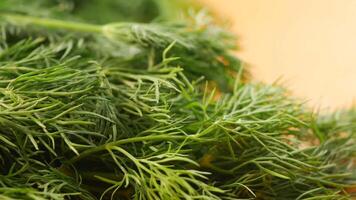 Fresh dill herb preparation for cooking and garnishing dishes video