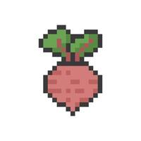 beetroot pixel art vector