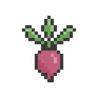 beetroot pixel retro vector