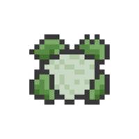 cauliflower pixel art vector