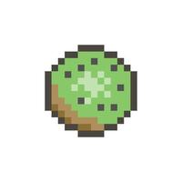 kiwi pixel art vector