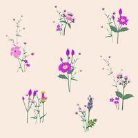 Set of wild flowers on puple tone vector