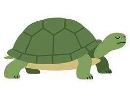 This minimal illustration features a green turtle in a relaxed pose, ideal for eco-friendly themes and educational purposes. Perfect for various design projects. vector