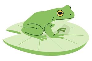 Frog Sitting on a Green Lotus Leaf in Calm Water Environment for Nature and Wildlife Themes vector