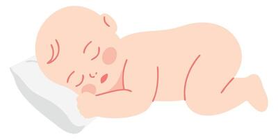 Sleeping Newborn Baby on Pillow with Soft Features in Calm and Peaceful Position vector