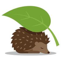 Cute Little Hedgehog with Leaf Resting in a Playful Cartoon Style vector