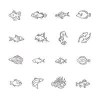 Set of outline fish icons. collection vector