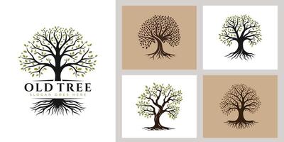 Tree Of Life Logo Design. Collection Abstract Tree Branch with Root design concept vector
