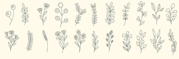 Delicate floral doodles featuring various plants and flowers, perfect for design projects and creative inspiration. These hand drawn elements add charming touch to any artwork vector