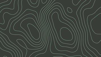 Seamless Topographic Background for Design and Textures vector