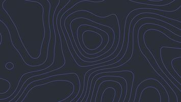 Minimalist Elevation Line Pattern for Digital Mapping and Design vector