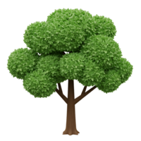 Lush 3D Rendering of a Full Green Tree png