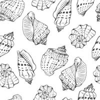 Seamless pattern with seashells, Hand drawn illustration. vector