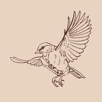 Titmouse, Flying bird. Hand drawn illustration. vector