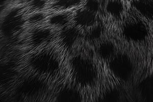Stunning Black Panther Fur Print Background Ideal for Fashion, Design, and Wildlife Themes photo