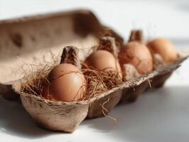 Natural fiber egg carton with brown eggs photo