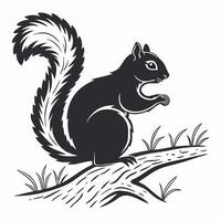 Squirrel on Branch Monochrome Illustration Classic Style. vector