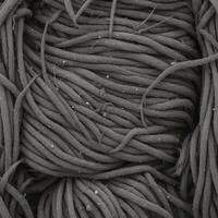 Scanning electron microscopy of commercially available cotton fabric with flame-retardant finishing, captured in macro view. photo