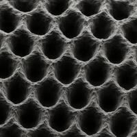 Scanning electron microscopy of a lotus-effect surface, macro shot showing a textured honeycomb structure. photo