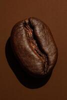 A detailed macro photograph of a single roasted coffee bean placed on a monochrome brown background. The texture of the bean is clearly visible, with crisp surface cracks, rich dark brown color photo