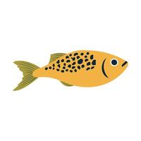 Atlantic fish flat in flat design. Wildlife tuna or salmon, seafood menu. illustration isolated. vector
