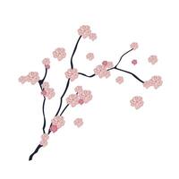 Sakura branch with flowers in flat design. Japanese pink cherry blooming. illustration isolated. vector