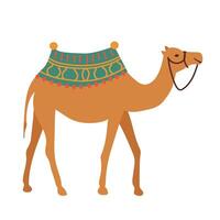 Camel with Morocco ornate textile in vase in flat design. Traditional desert animal. illustration isolated. vector
