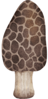 Springy Bop Soft Button png