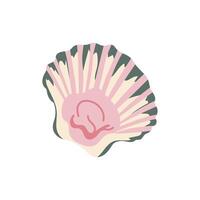 Pink seashell in flat design. Beautiful romantic tropical ocean shell. illustration isolated. vector