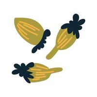Cloves spice in design. Aromatic cardamon condiment, scented seasoning. illustration isolated. vector