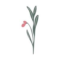 Gentle pink flower on stem in flat design. Spring soft and tender blossom. illustration isolated. vector